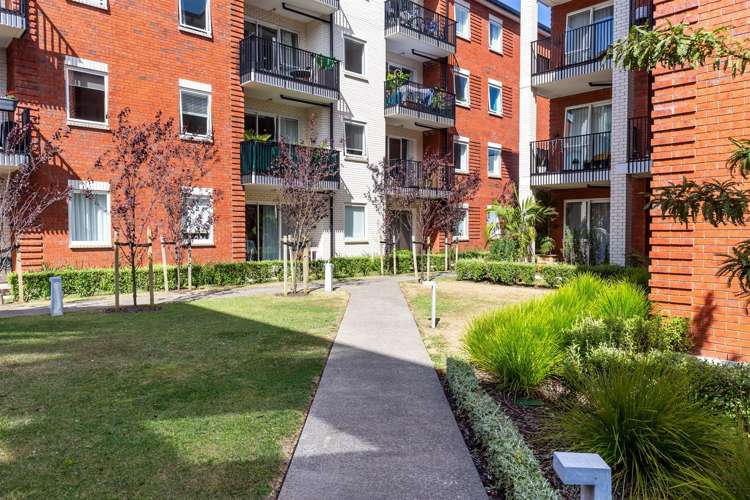 G05/1c Soljak Place Mount Albert_19