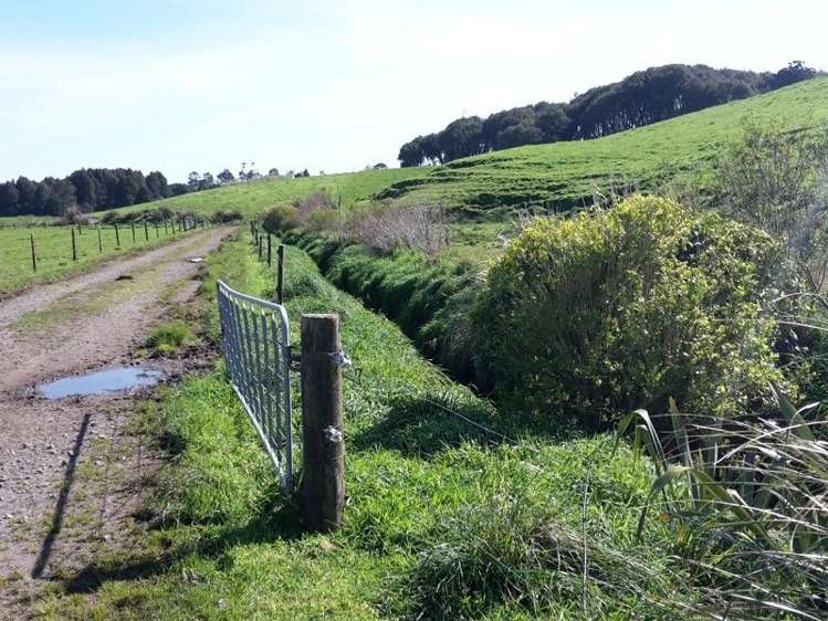 346 Rugby Road Tariki_70