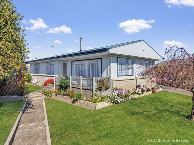 11 Bristol Street Tamatea_2