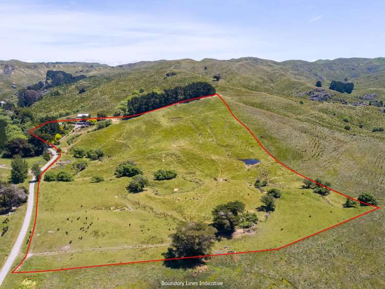 865 Mangamahoe Central Road Masterton_6