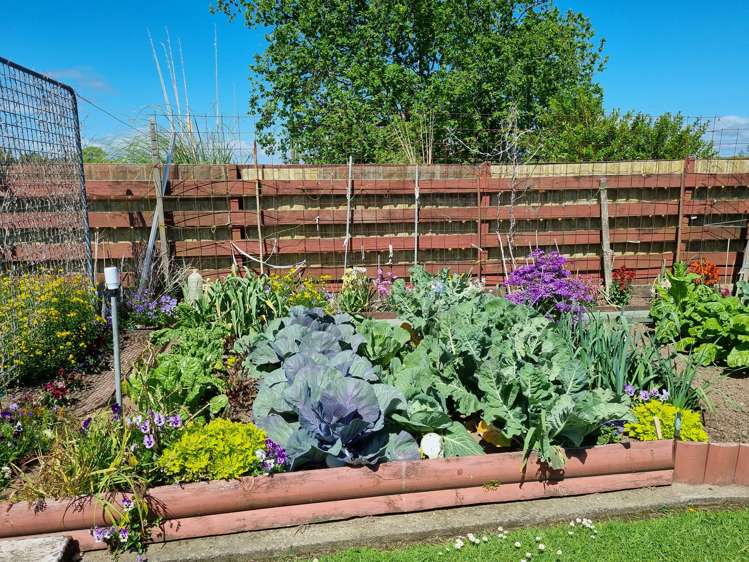 401 Parawai Road Thames_19