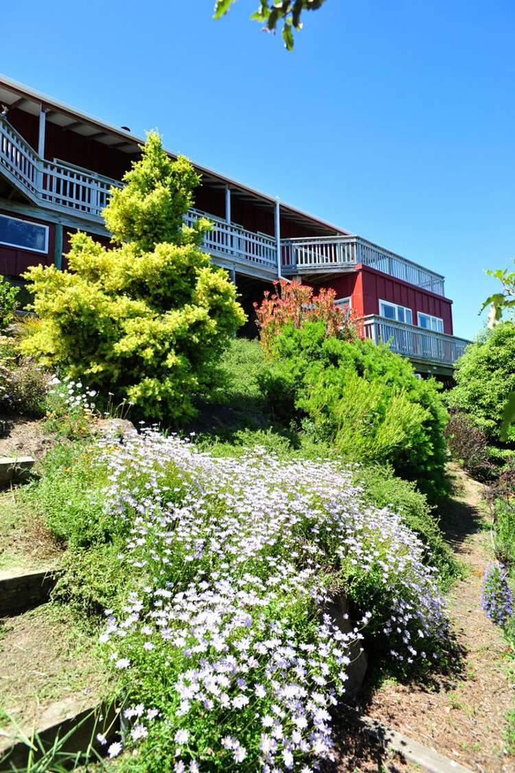 19 Athol Place Diamond Harbour_19