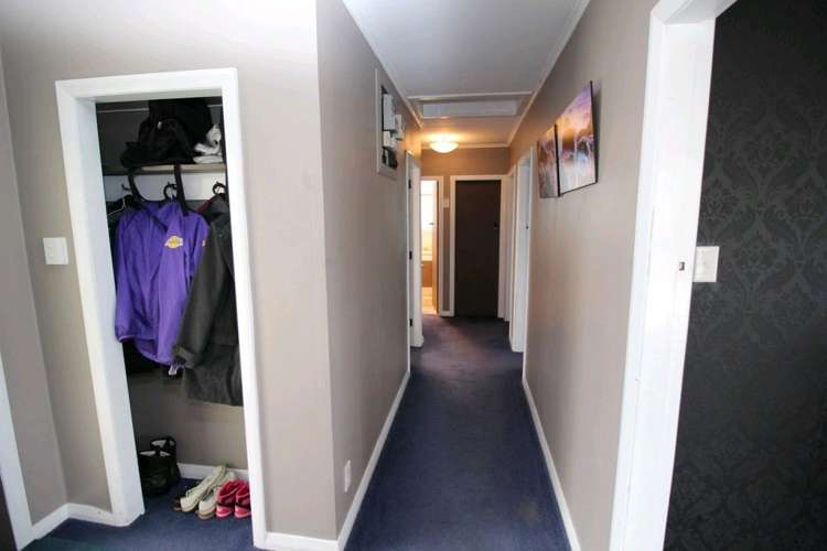 20 Ward Street Bulls_25