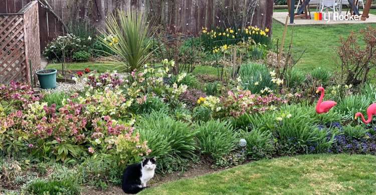 17 Lorne Street Mosgiel_3