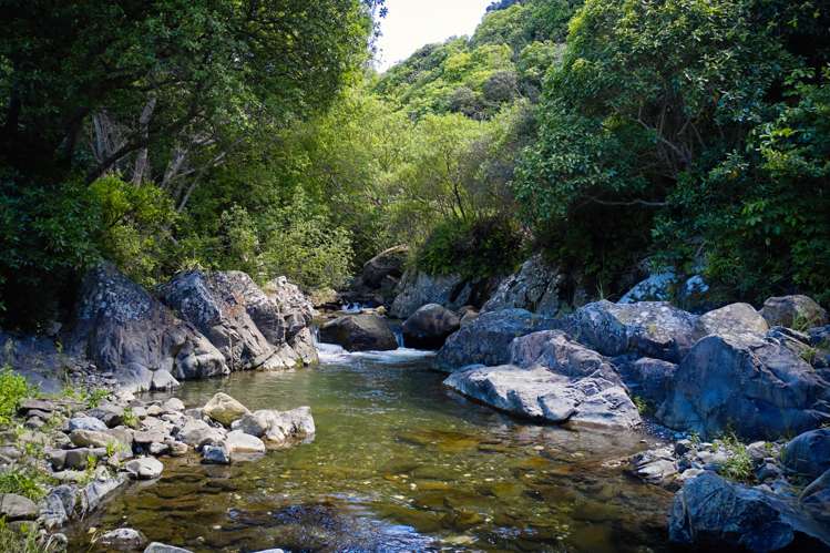 2009 State Highway 1 Half Moon Bay_3