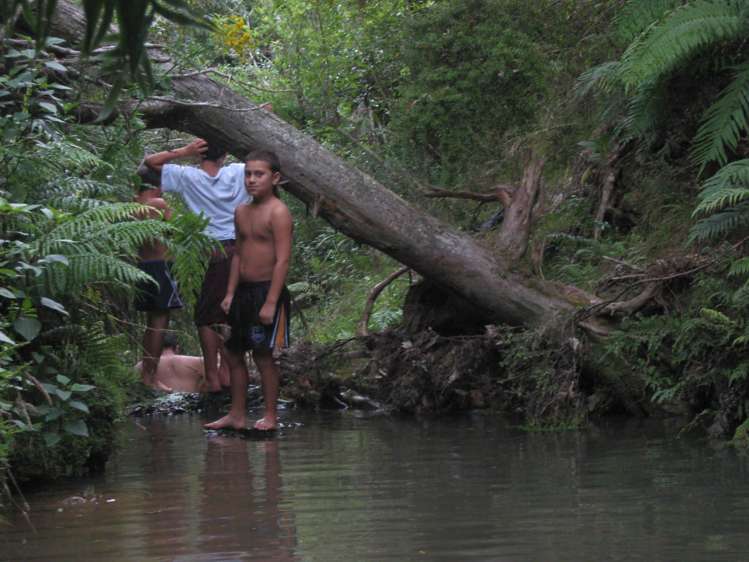 1242 Russell Road Helena Bay_7