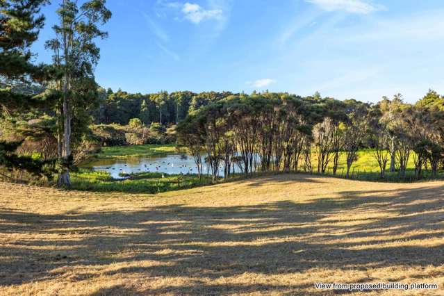 12 Joyce Adams Place Waimauku_4