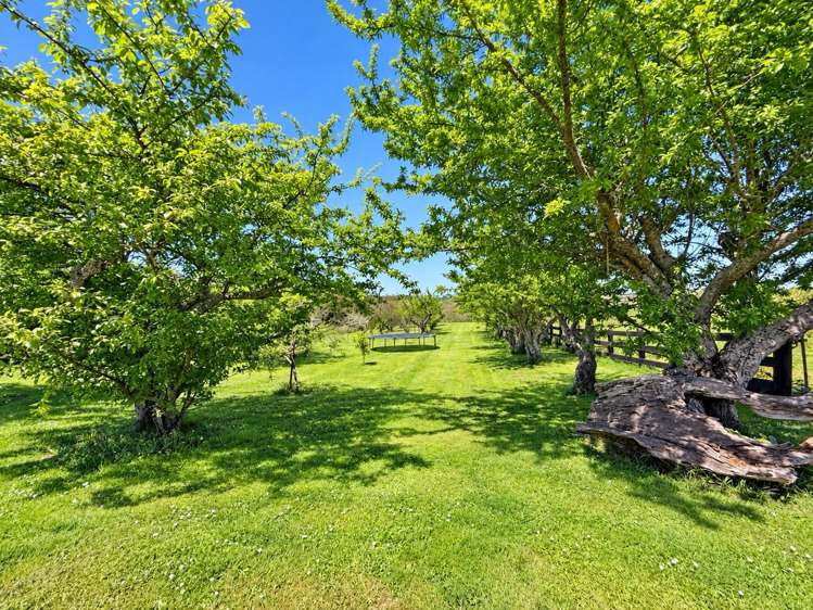 48 Travers Road Te Kauwhata_6