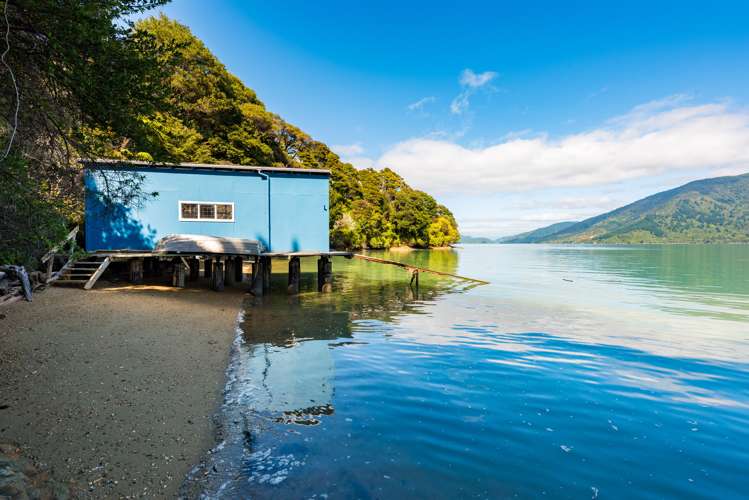 799 Kenepuru Road Mahau Sound_19