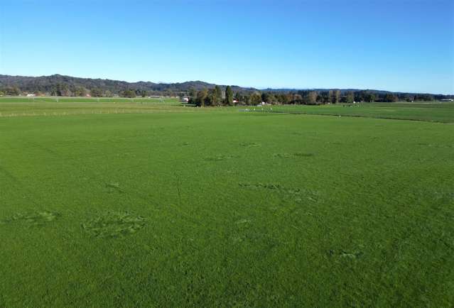 Granville Road West Totara Flat_1