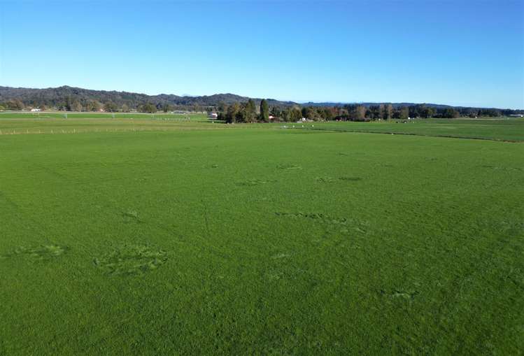 Granville Road West Totara Flat_1