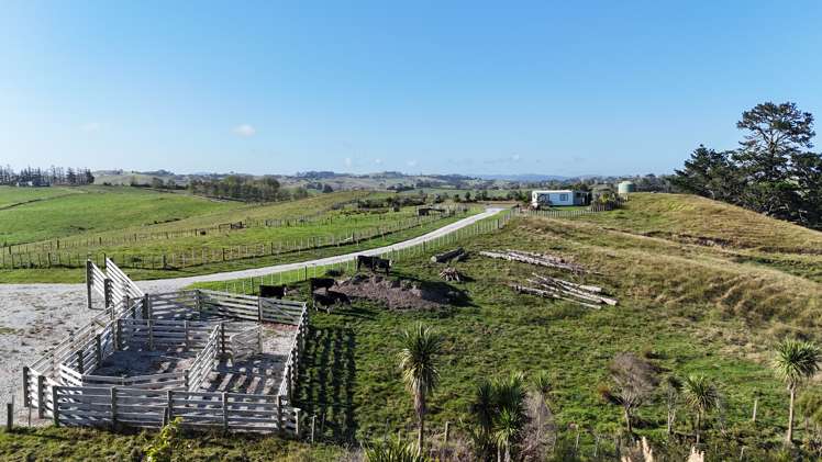 56 Shepherd Road Wellsford_7