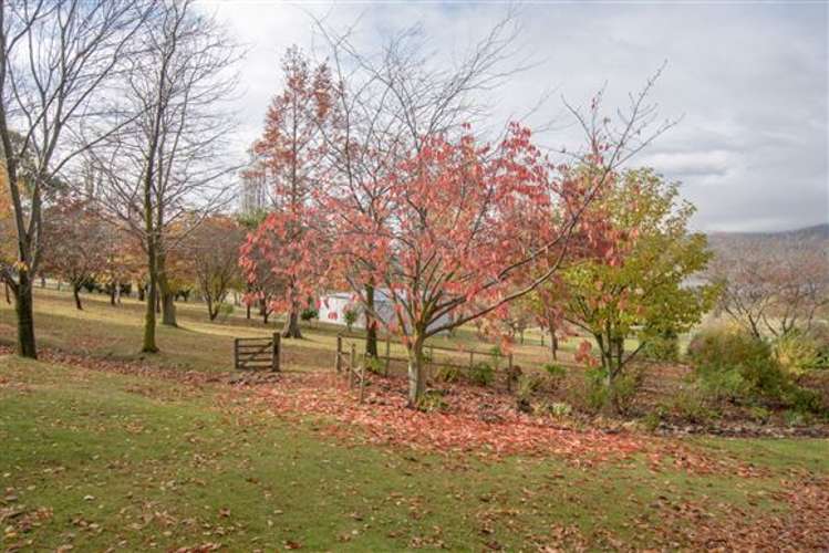 52 Burn Cottage Road Cromwell_32