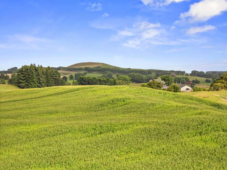 1/1542 Morrinsville-Walton Road Morrinsville_22