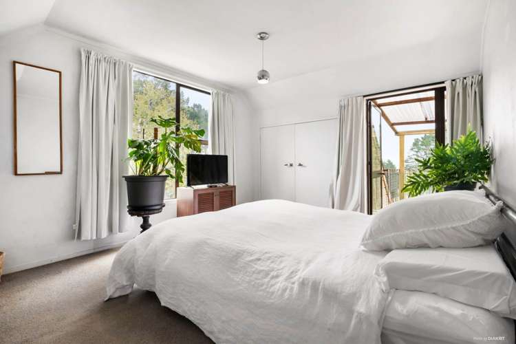 194 Ara-Kotinga Whitford_15