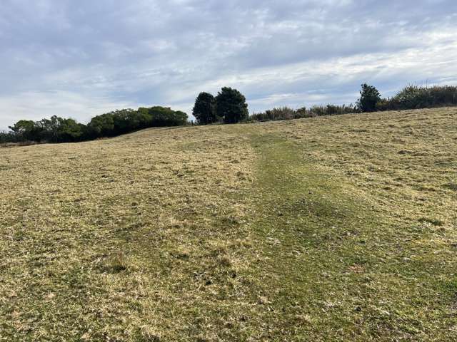 1299 Kumara Junction Highway Awatuna_4