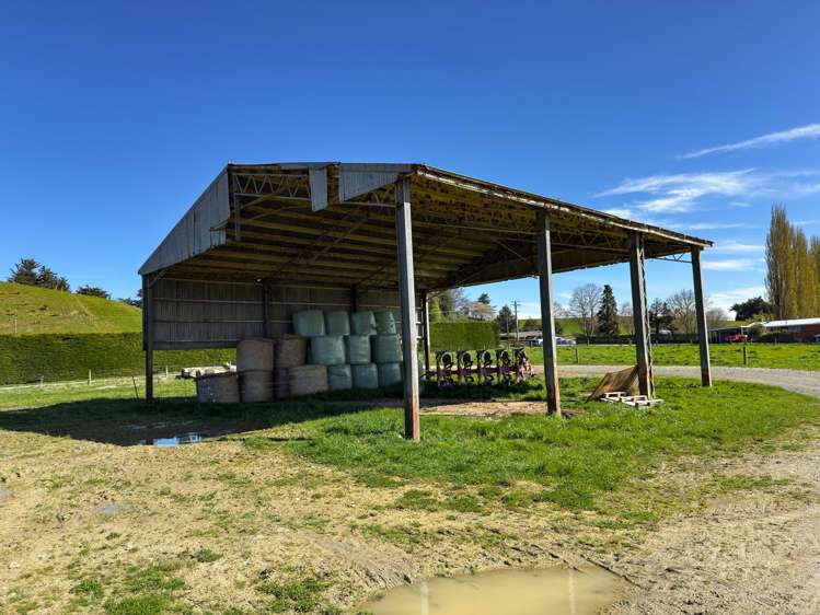 21 East Chatton Road Maitland_6