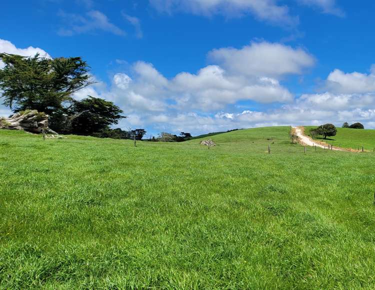 689 Mangatu Road Dargaville Surrounds_12