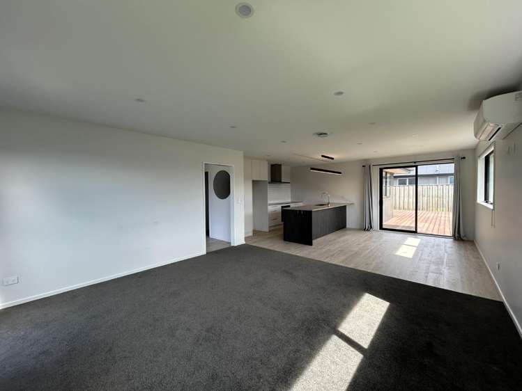 10 Horopito Street 1447_5