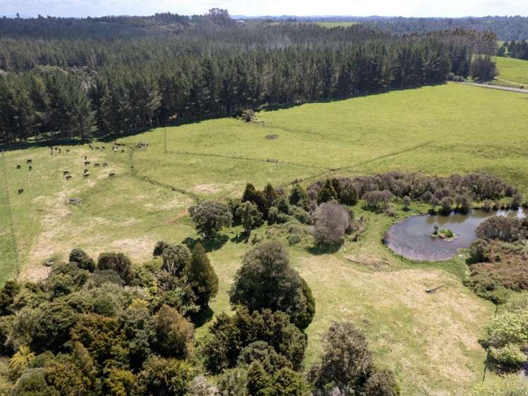 205 Mangaturuturu East Road National Park_19