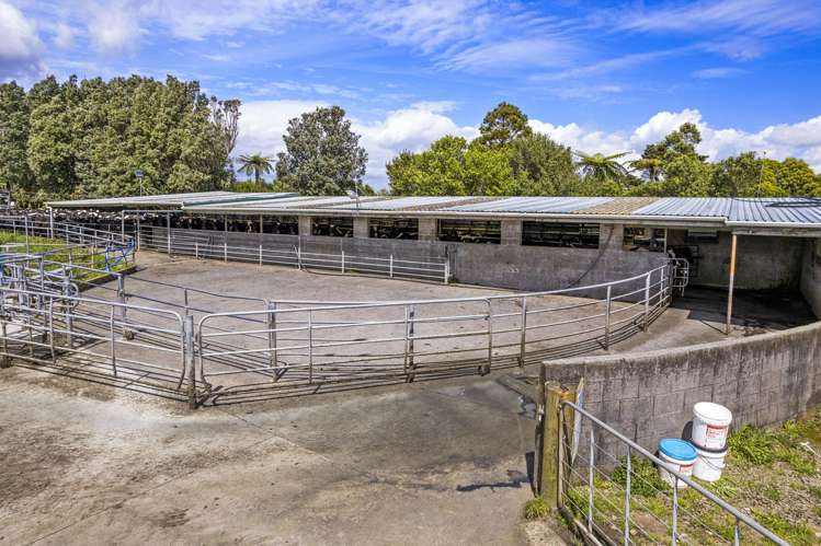 1528 Wiremu Road Opunake_8