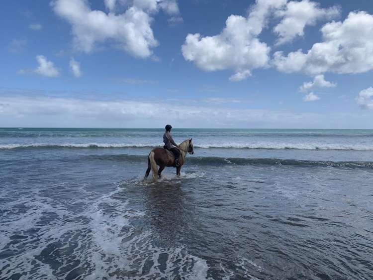 42 Tasman Heights Ahipara_47