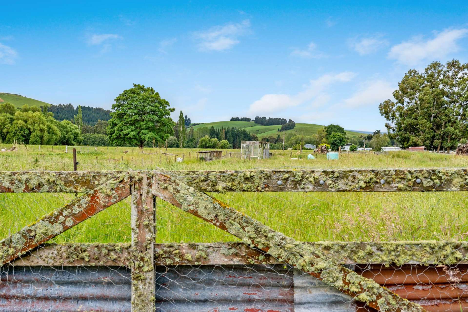 1 Boyldon Street Lawrence_0