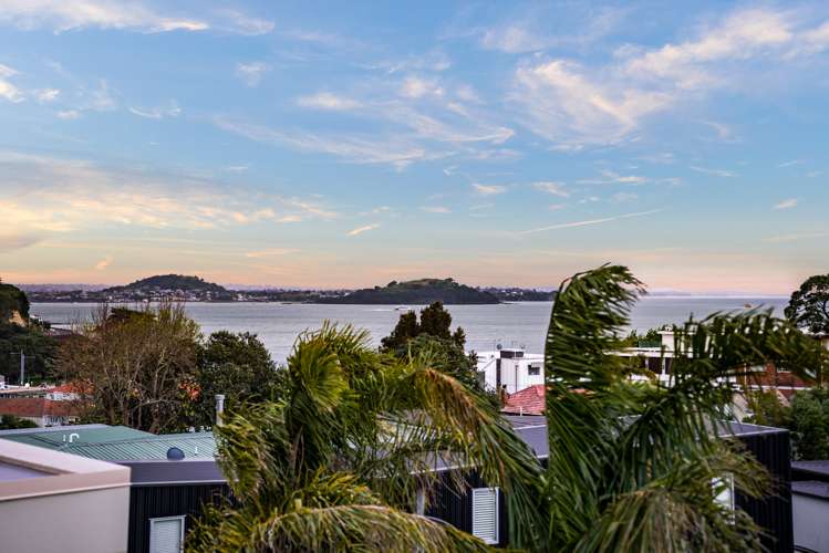 55a Selwyn Avenue Mission Bay_18