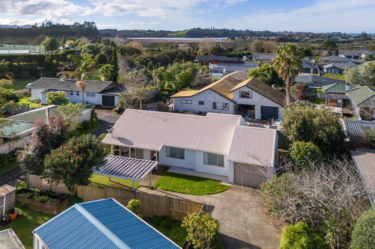 11b Gray Street Katikati_5