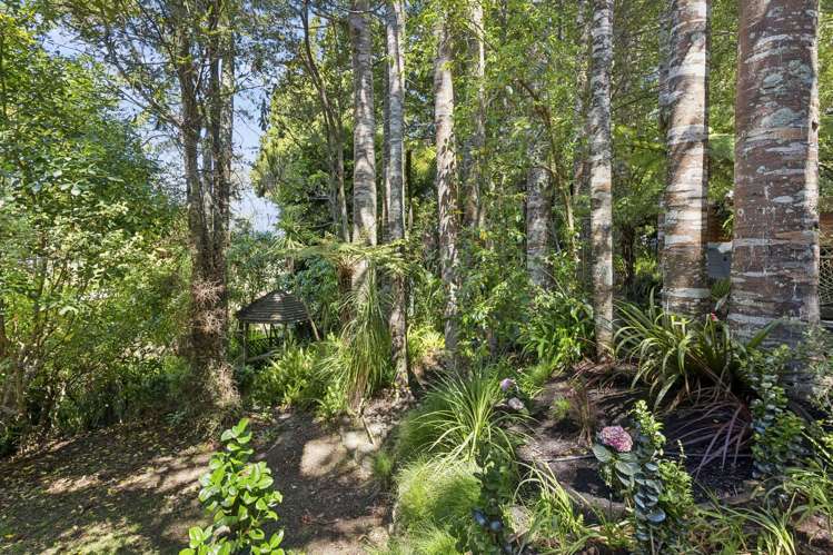 34 Hollywood Avenue Titirangi_25