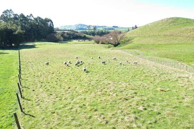 Lot 1and2 324 Homewood Road Waipawa_4