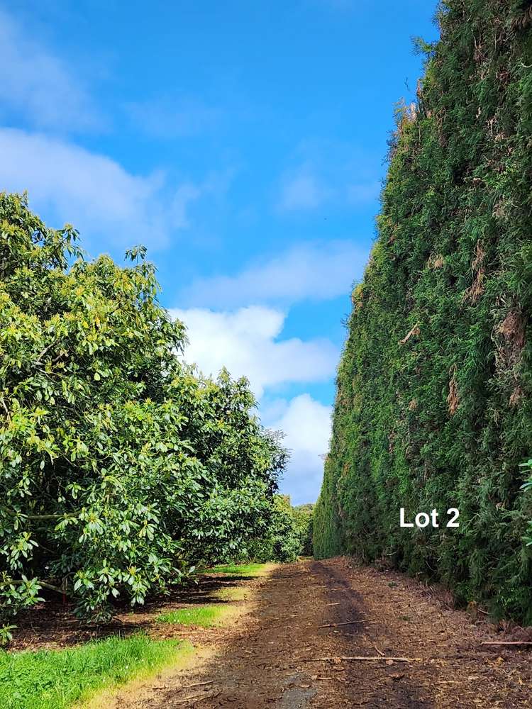 493 Mangakahia Road Maungatapere_13