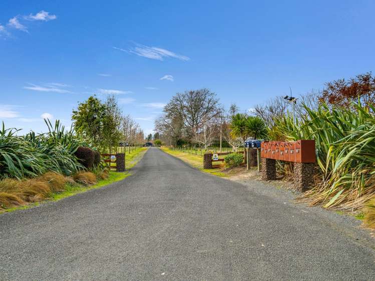 Ohiti Road Omahu_5