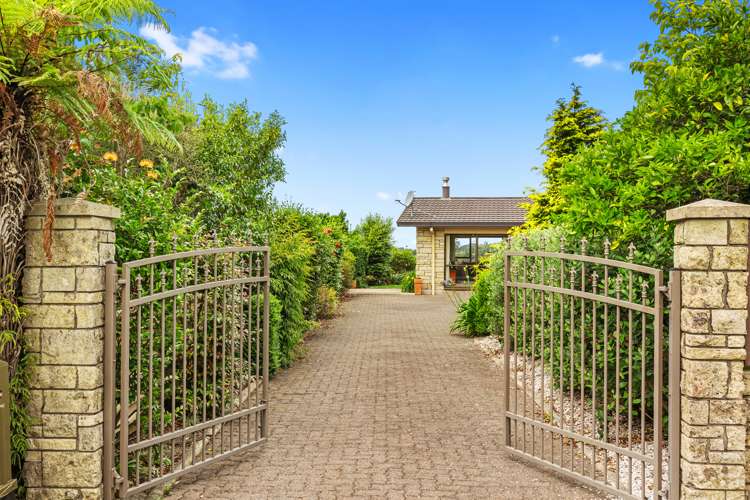 31 Te Hono Street Maungatapu_3