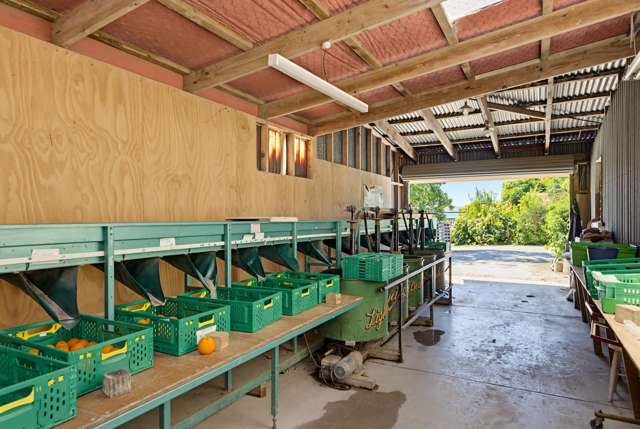599 Bushmere Road Waerenga-A-Hika_4