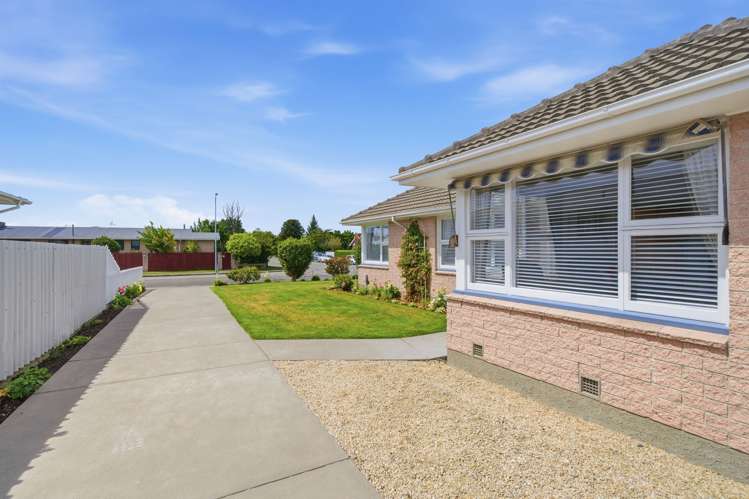 53 Boston Avenue Hornby_1