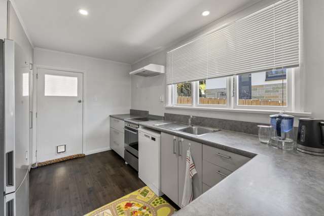 66 Hocken Street Kenmure_3