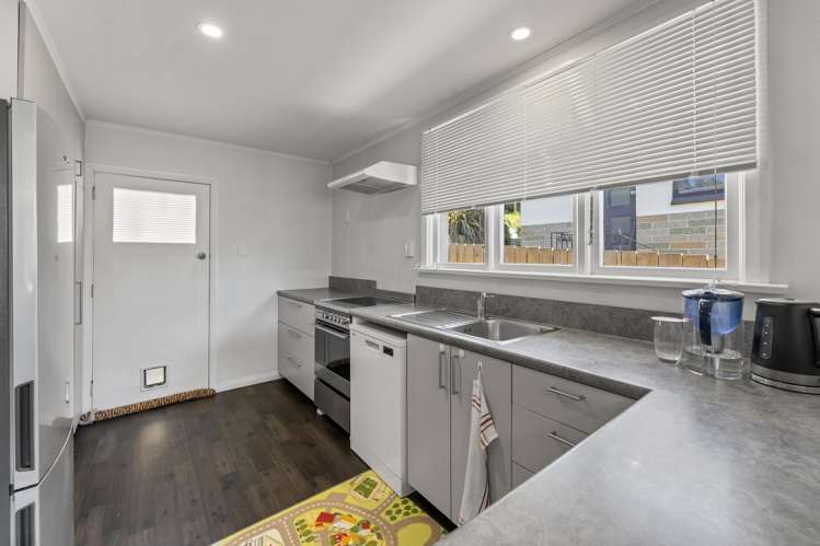 66 Hocken Street Kenmure_2