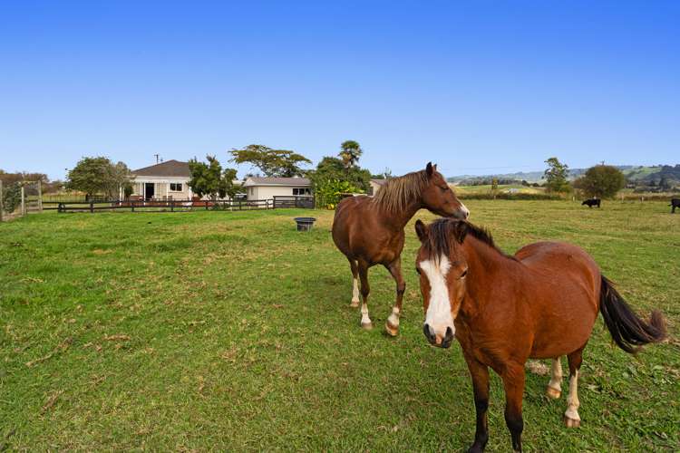 417 Matata Road Matata_19