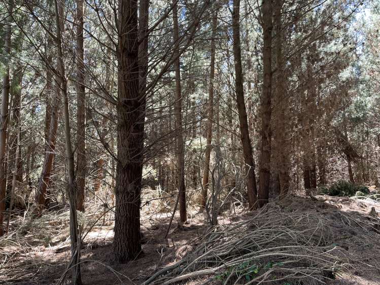 Breakneck Road Herbert_7