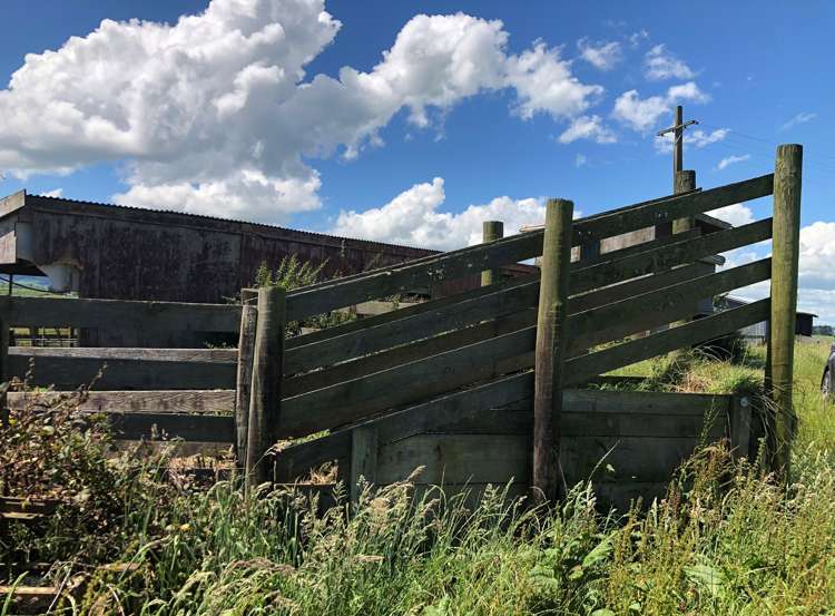 1564 State Highway 31 Kawhia Road Otorohanga_29