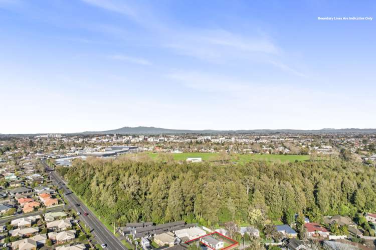 5a Brooklyn Road Claudelands_14