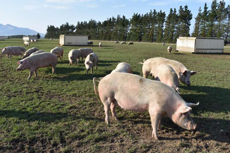 724 Medbury Road Hawarden_16