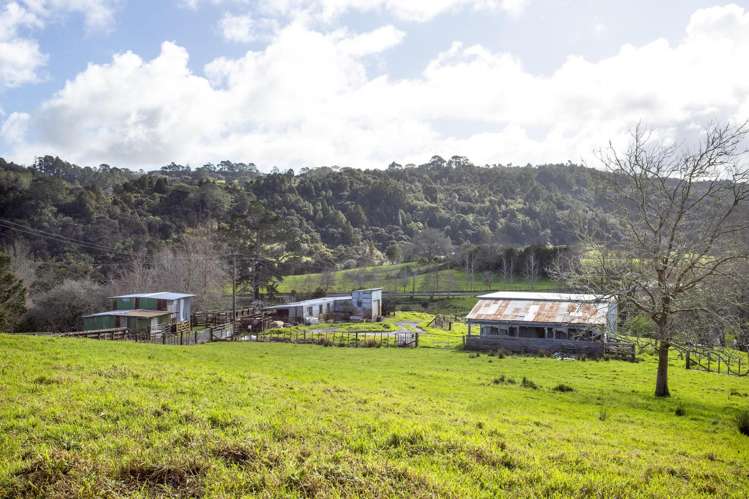 108 Kanohi Road Kaukapakapa_7