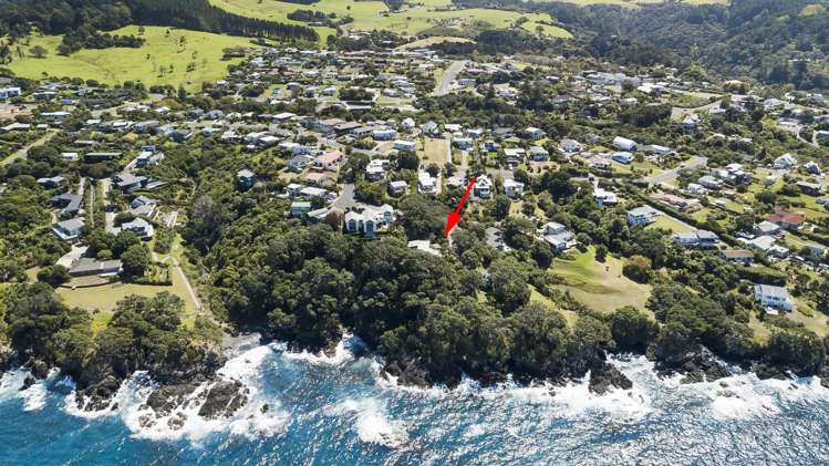 7 Kyle Street Leigh_7