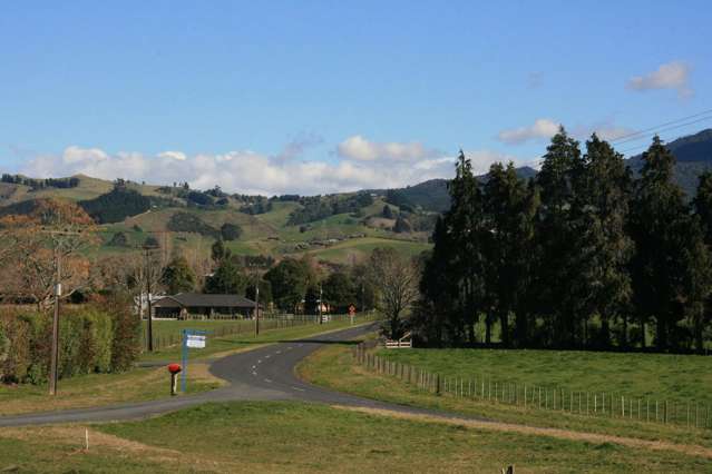 163 Bird Road Pirongia_1