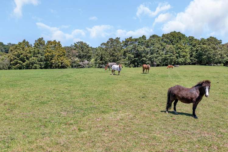 80 Lovell Road Ruatangata West_23