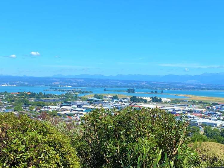 17 Pinnacle Place 1951_8