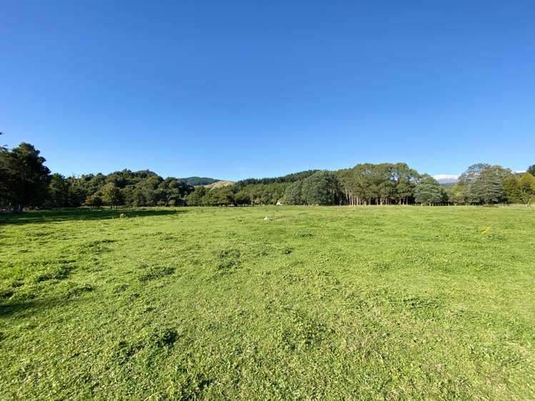 258a Gladstone Road Levin_13