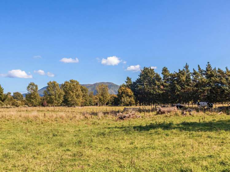 317 Wood Street Greytown_22